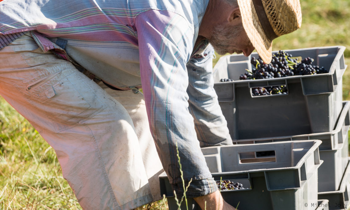 Givry 1er Cru Rouge Clos : Becky Wasserman & Co.